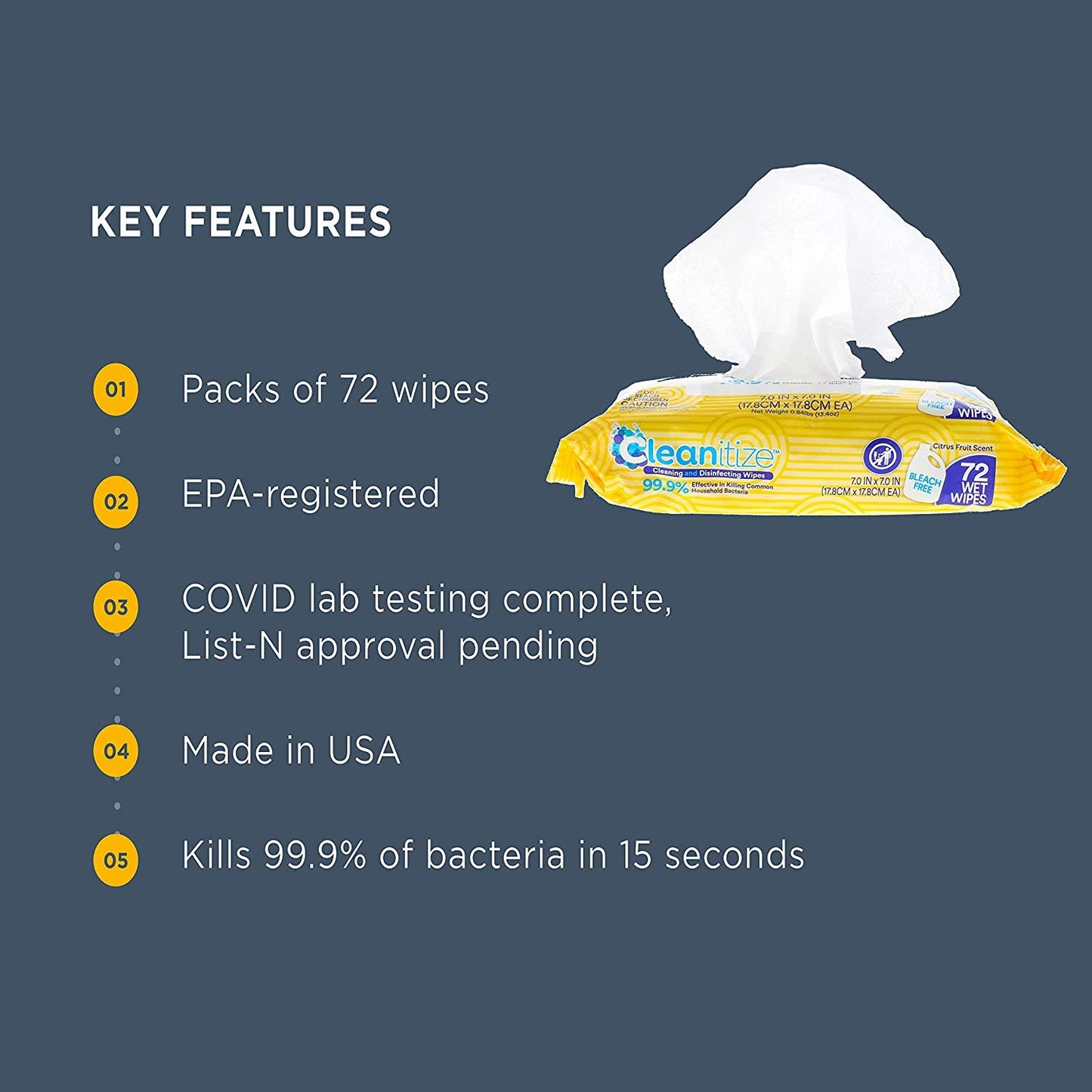 Cleanitize 6 Pack Case
