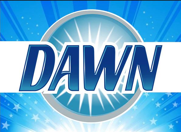 Dawn Dishwashing Detergent BULK REFILL 1 Gal or Case of 4 Gallons