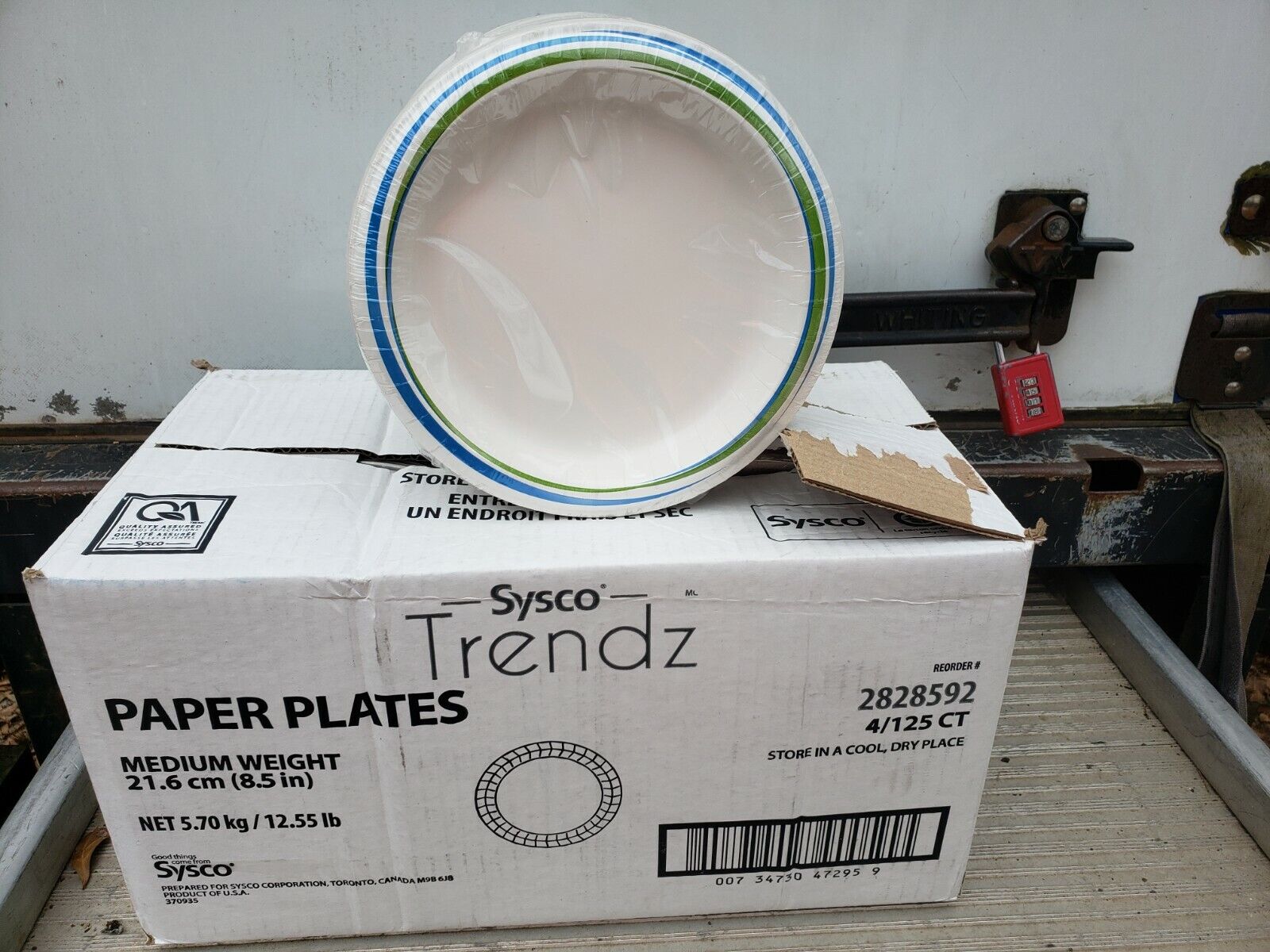 One Case of Dixie Basic 8 1/2” Light Weight Paper Plates White - 500 ct.