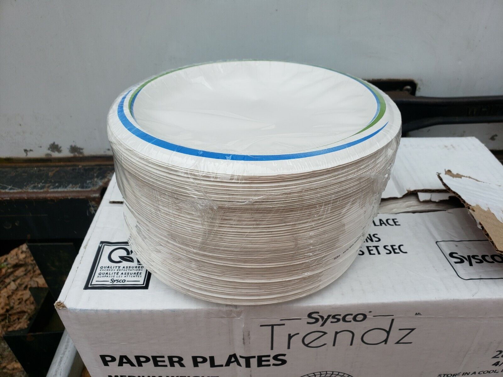 One Case of Dixie Basic 8 1/2” Light Weight Paper Plates White - 500 ct.