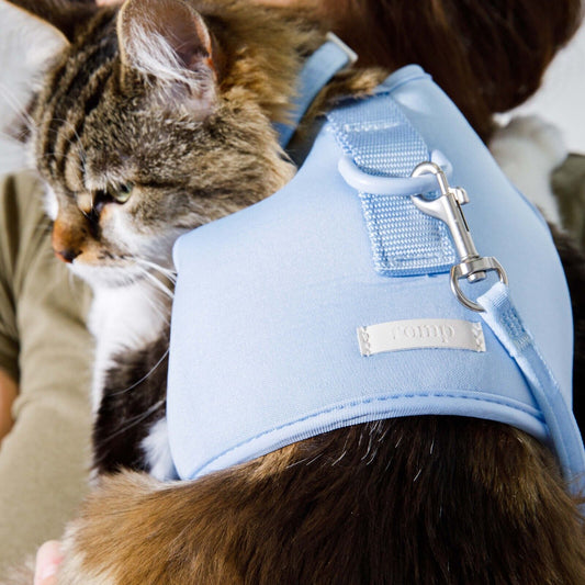 ROMP Cat harness = adjustable , breathable